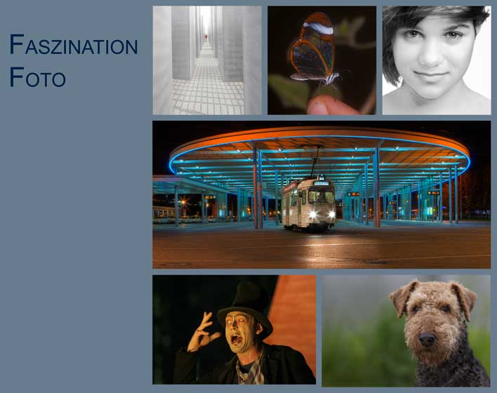 Faszination Foto